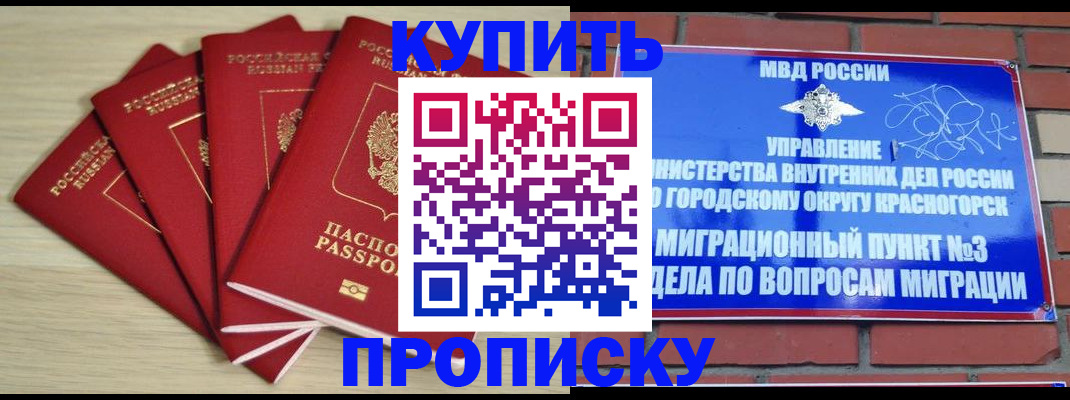 временная регистрация для всех в Ингушетии