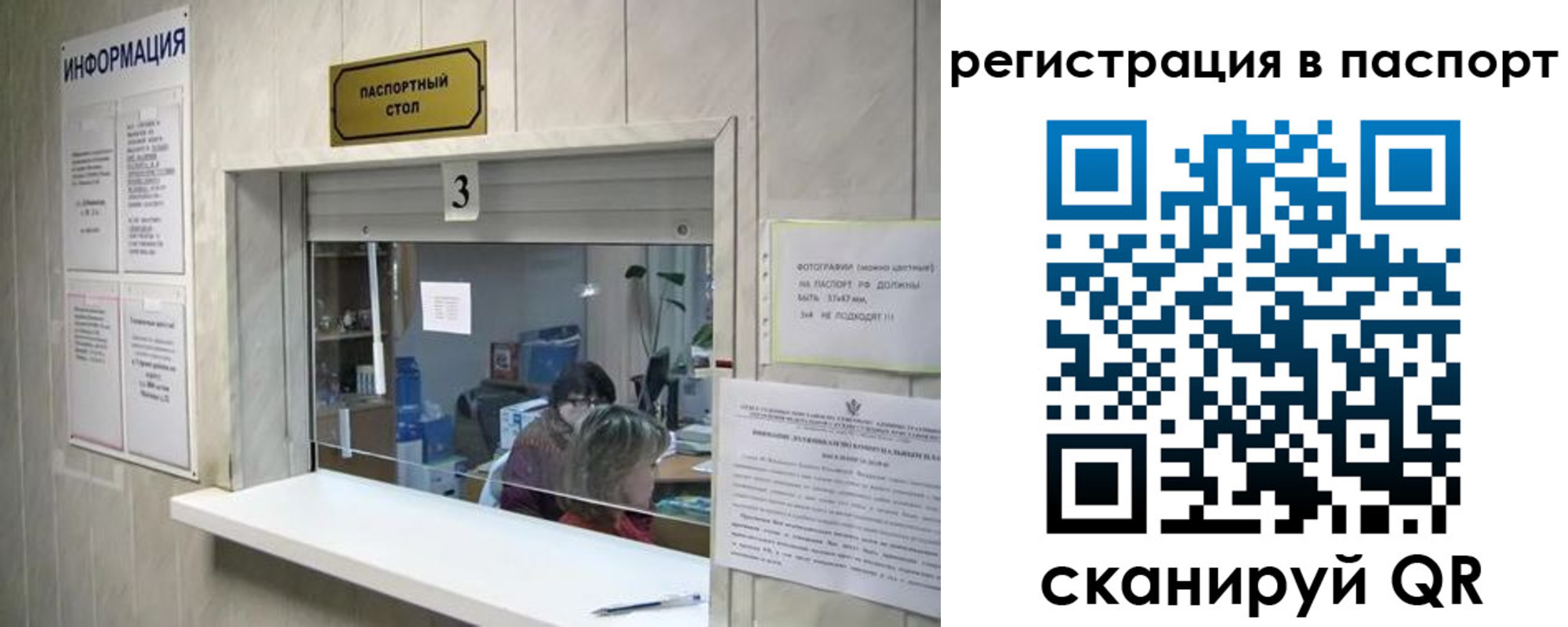 прописка поиск в Ингушетии